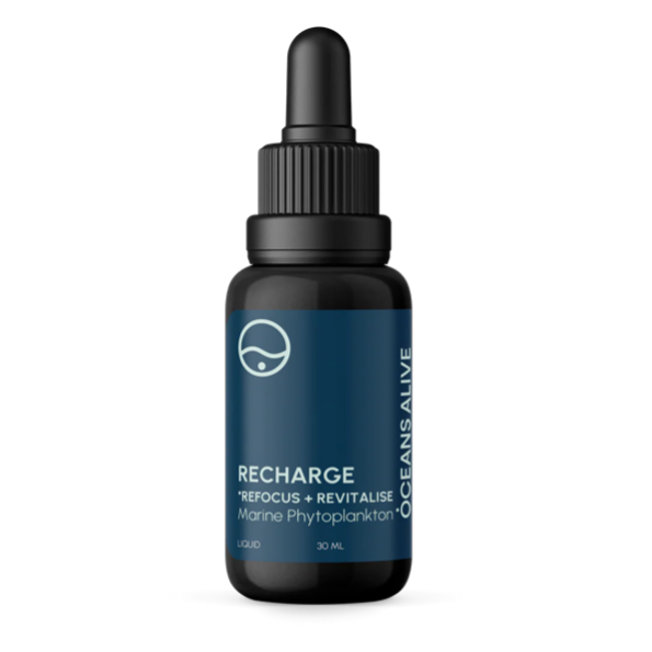 Recharge 30ml